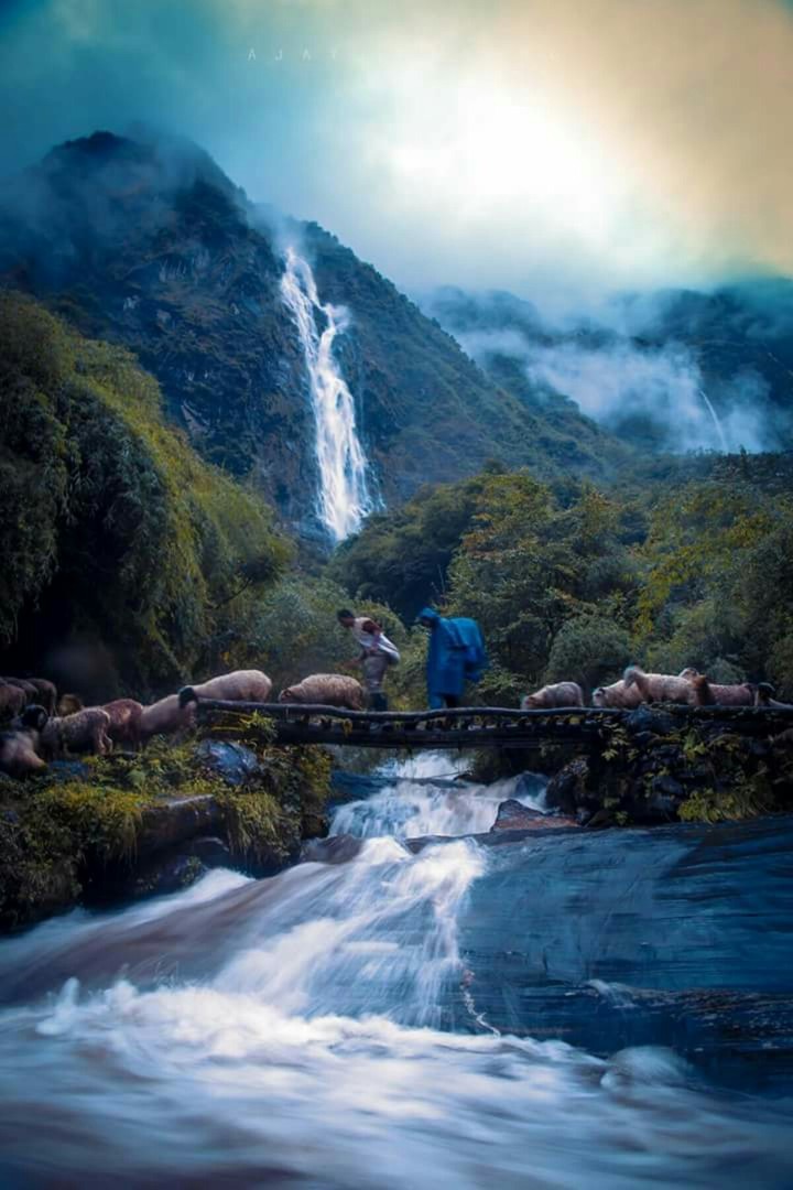 Nature