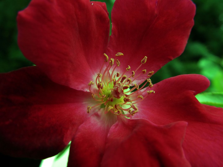 Beauty of nature for u all
