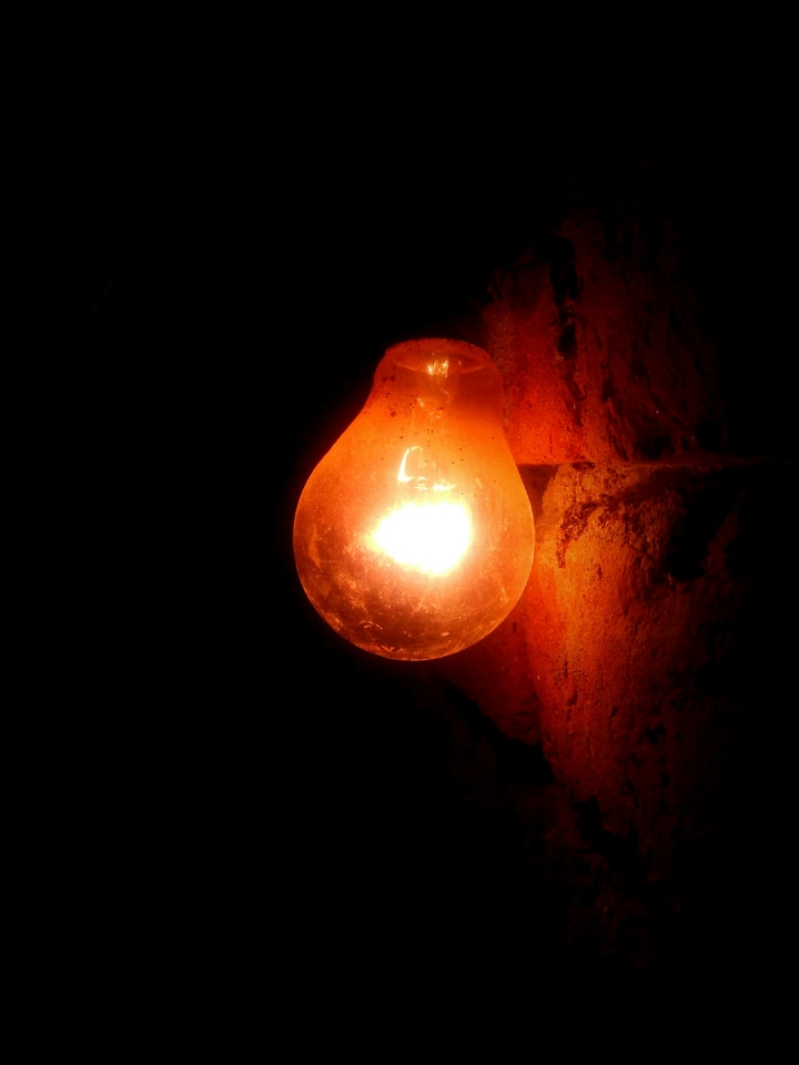 Bulb