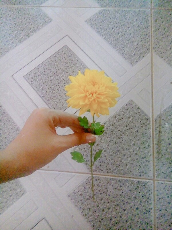 ❤