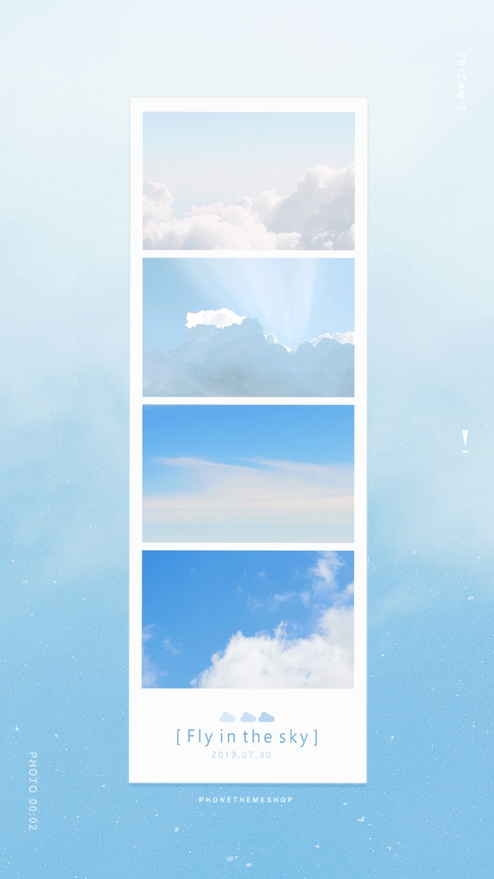 Fly in the sky