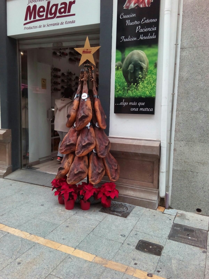 Particular Christmas