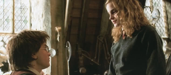 Harry and Hermione