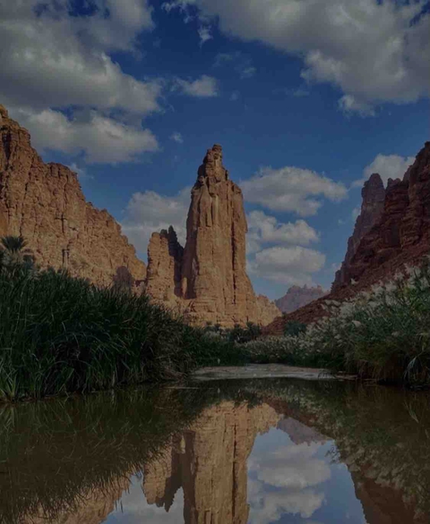 تبوك