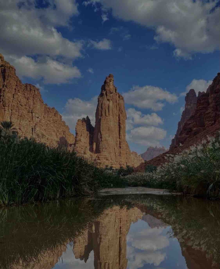 تبوك