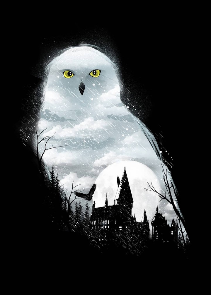 night