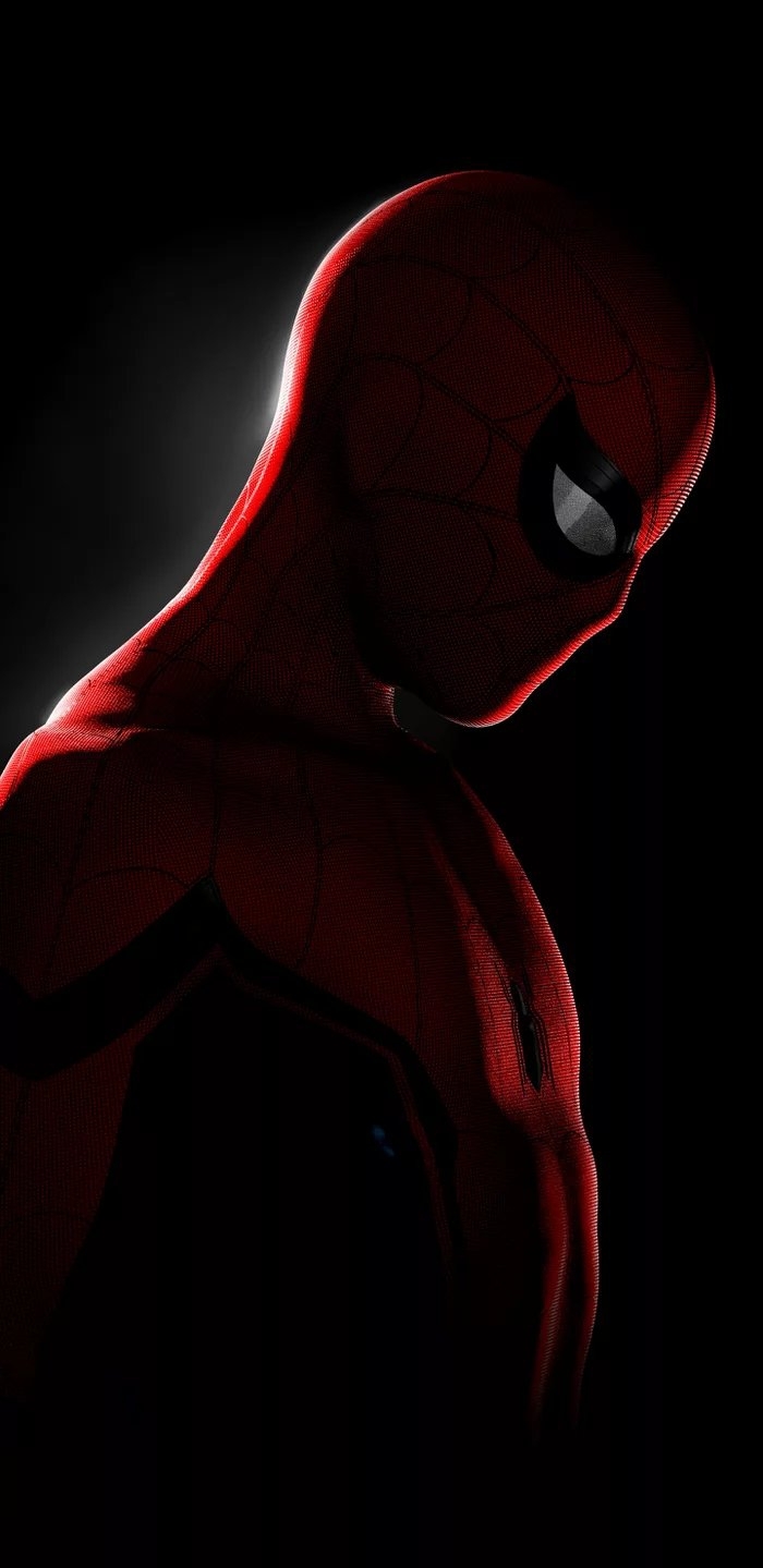 Dark spiderman
