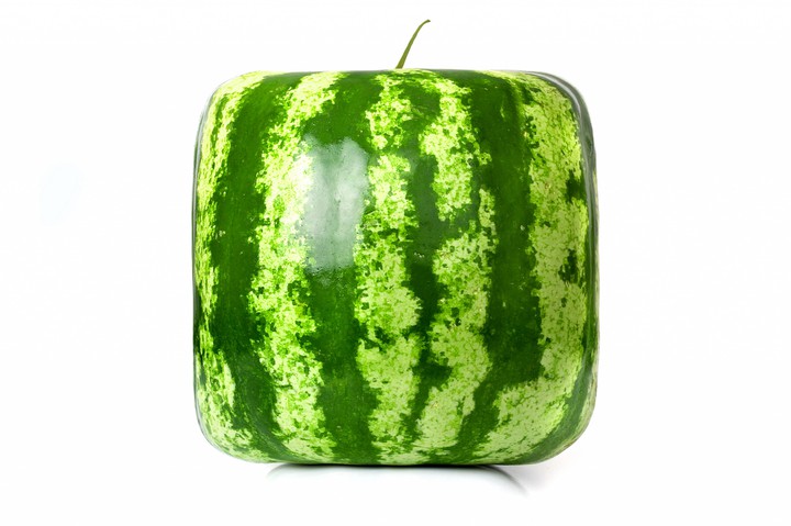 watermelon