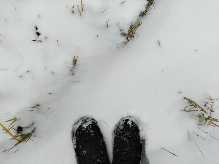 Snow