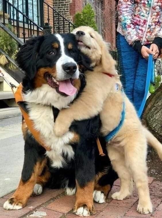 .
