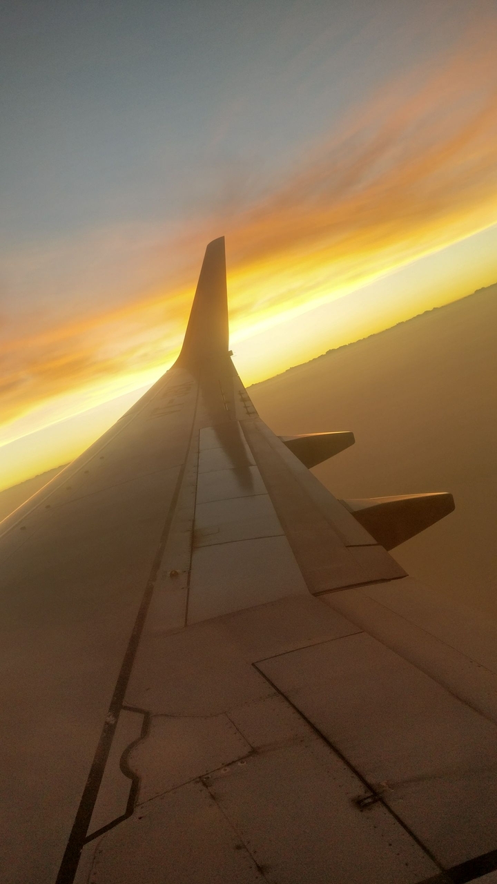 Wings