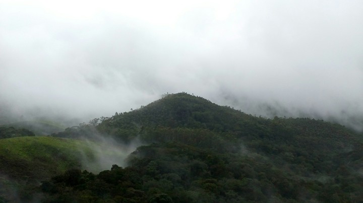 Nature 