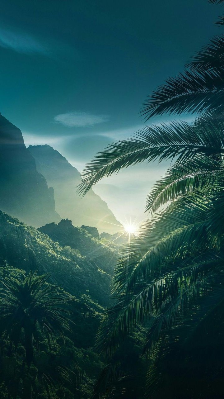 Nature ?