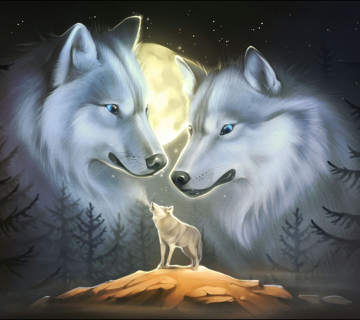 Lobos