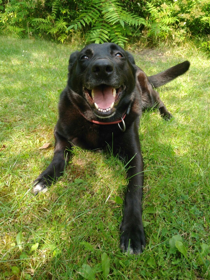 my lovely girl Lana ;)