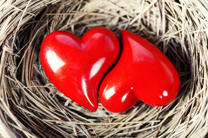 love