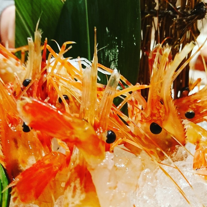 牡丹海老