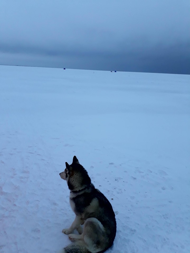 море