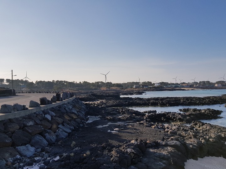 제주 jeju