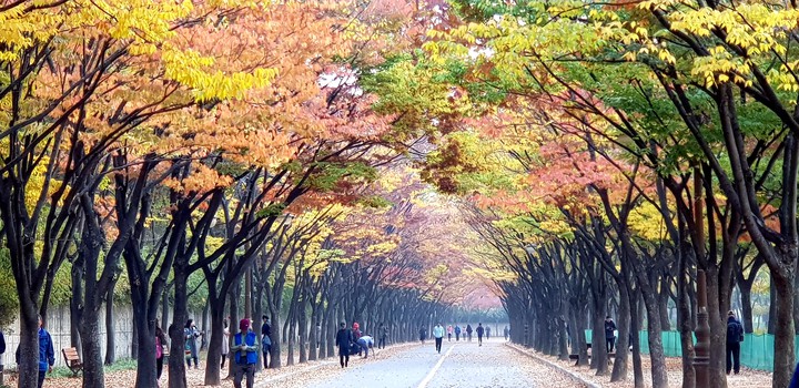 인천대공원
