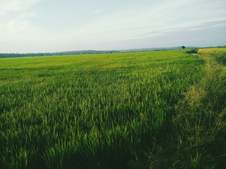 scenery