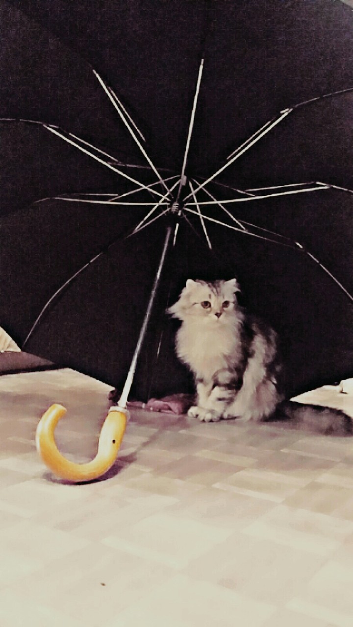❤