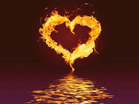Fire In Love
