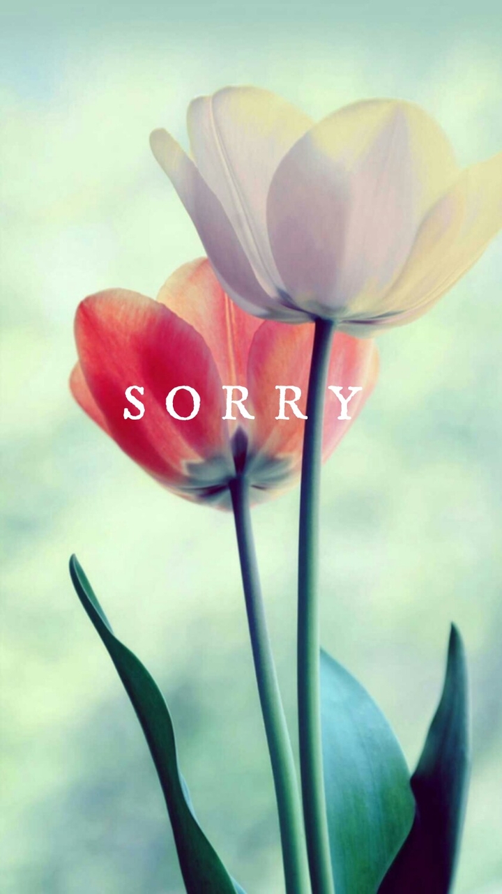 Sorry