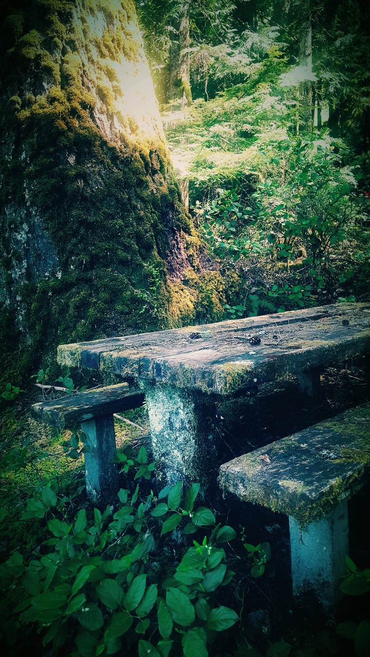 Nature