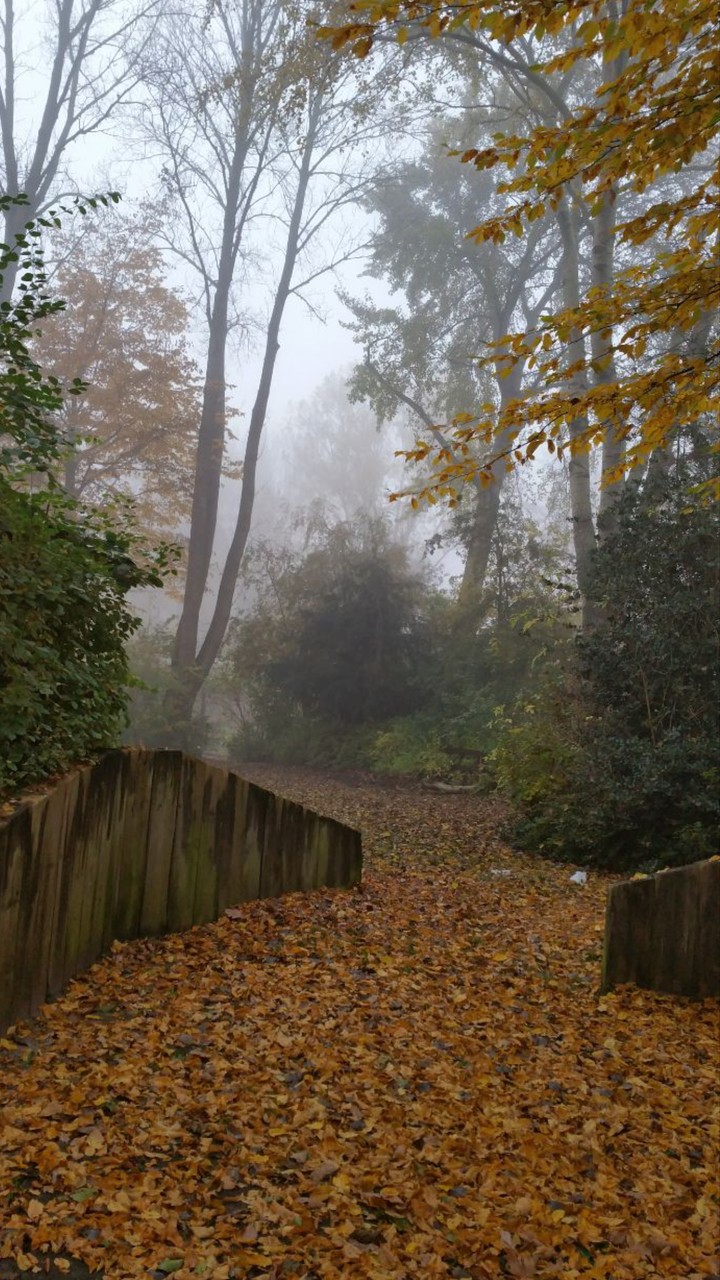 autumn