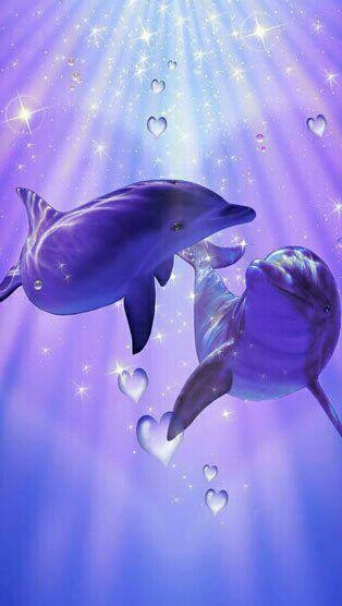 Dauphins !!!!