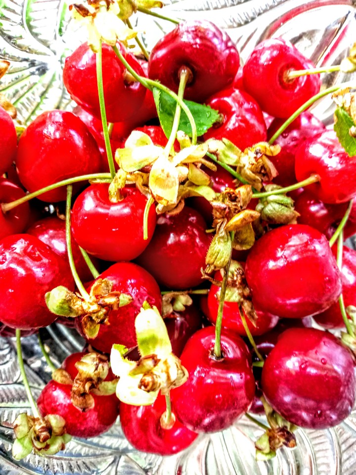 sweet cherry