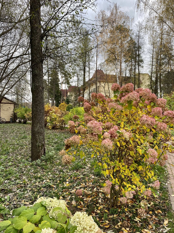 autumn