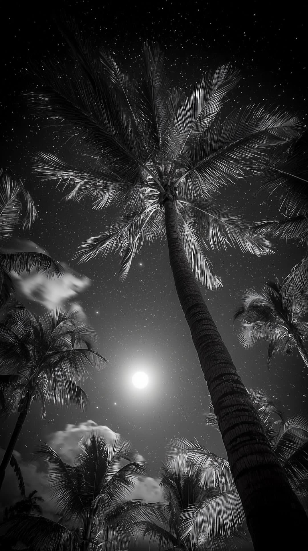 обои darkness, Photograph