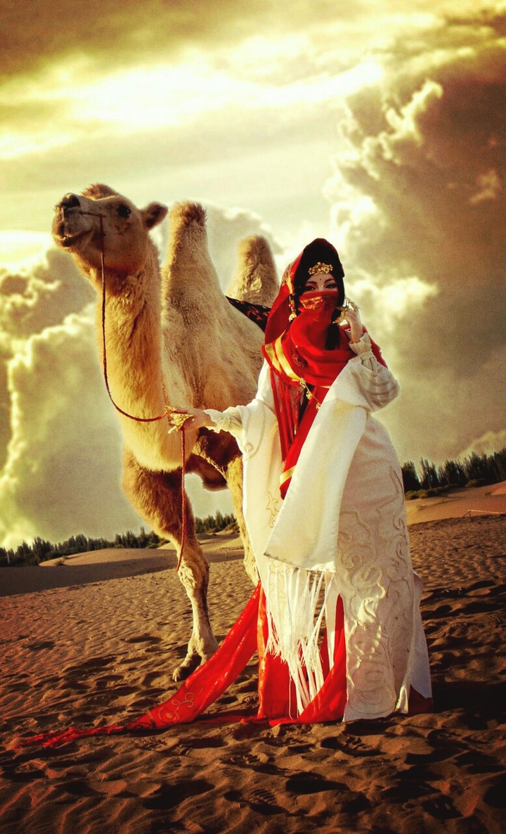 Arabic Camel