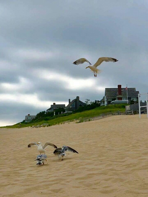 #beach