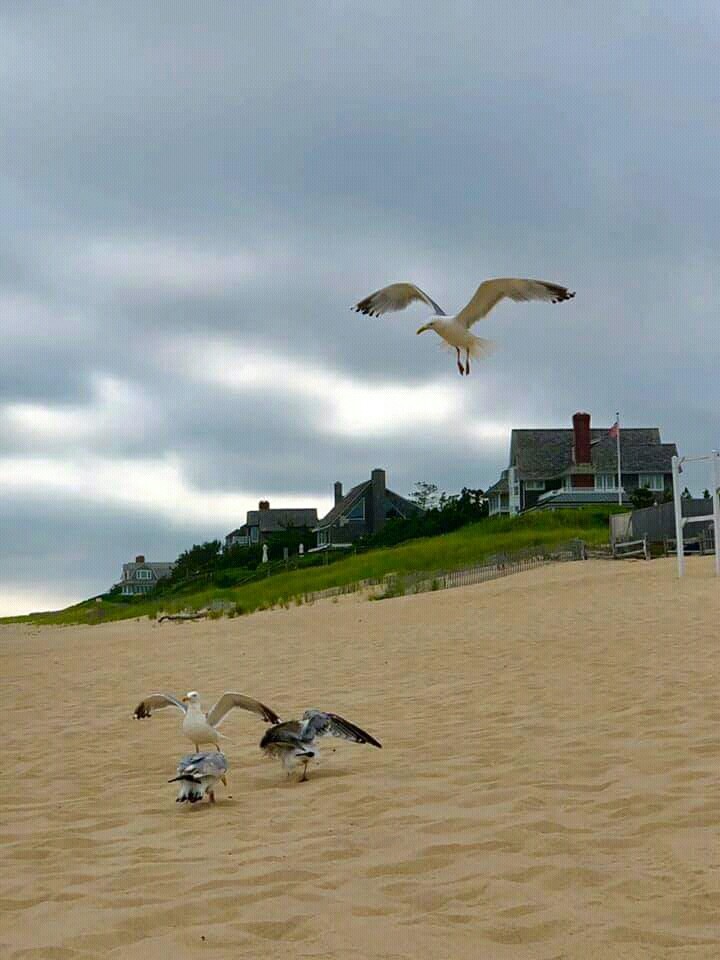 #beach