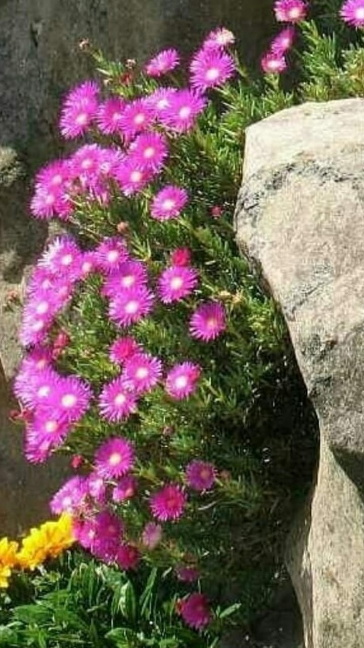 ✨✨