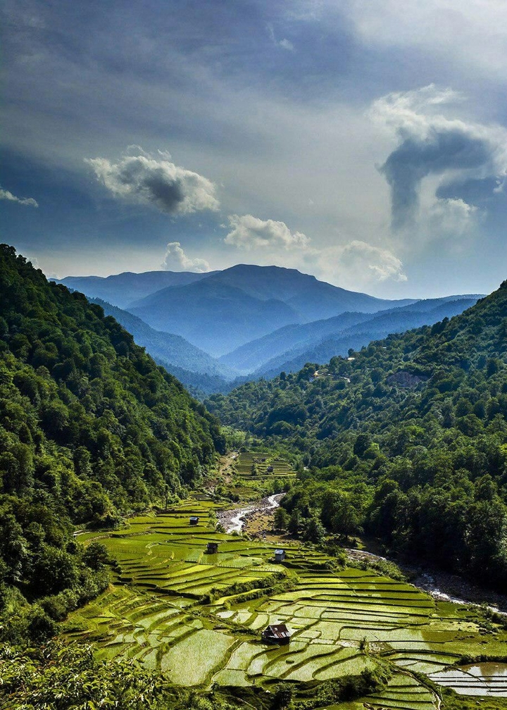 nature