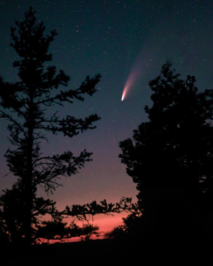 finally got a photo of that comet everyone has been talking