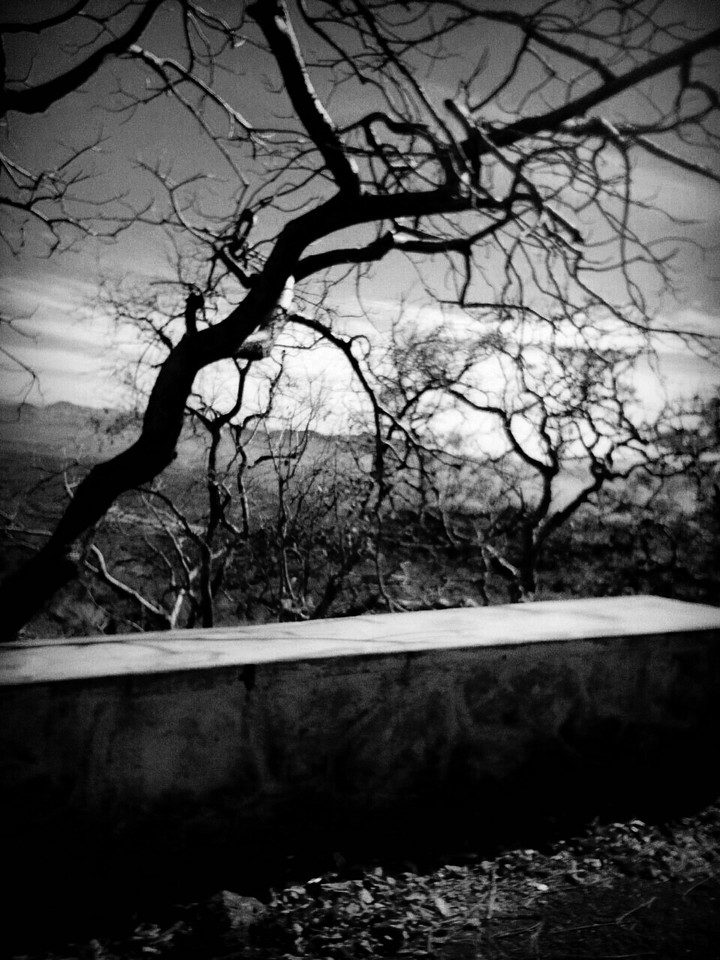 Life is lonely
