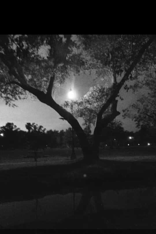 Darkness
