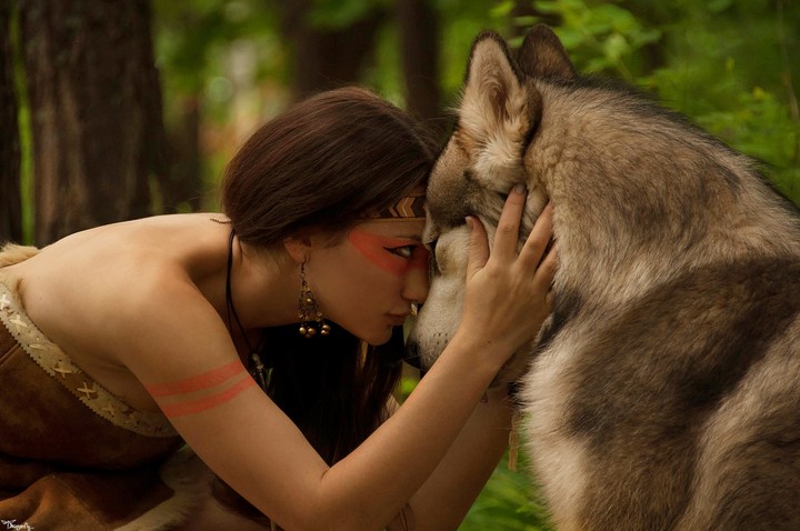 Wolf