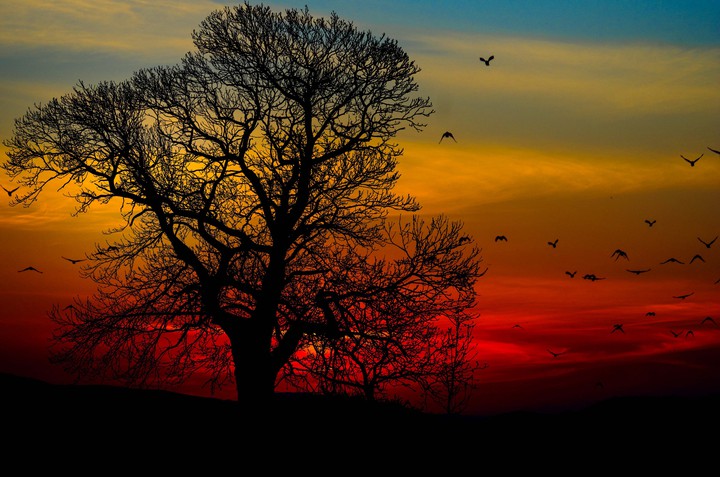 Unglaublicher Sonnenuntergang