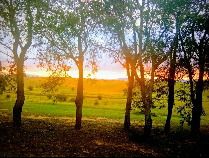 colors of nature