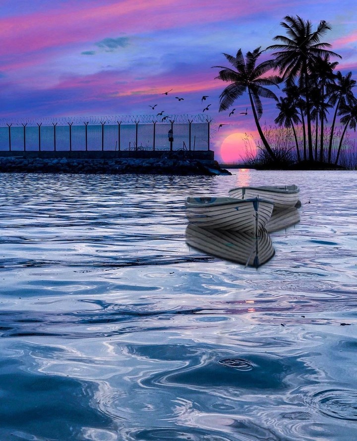 #boat