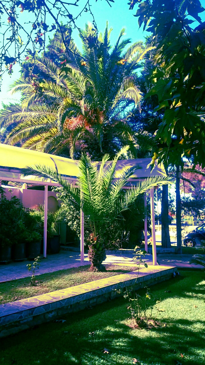 STAMATIOS