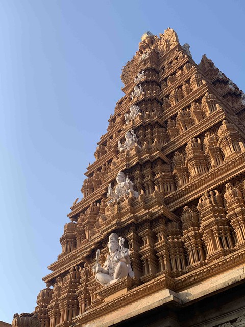 Mysore, Karnataka, India