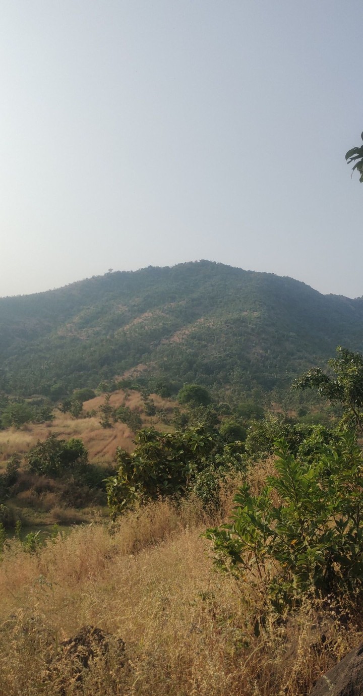 nathar