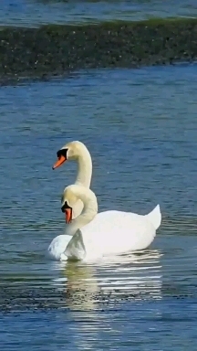 ❤